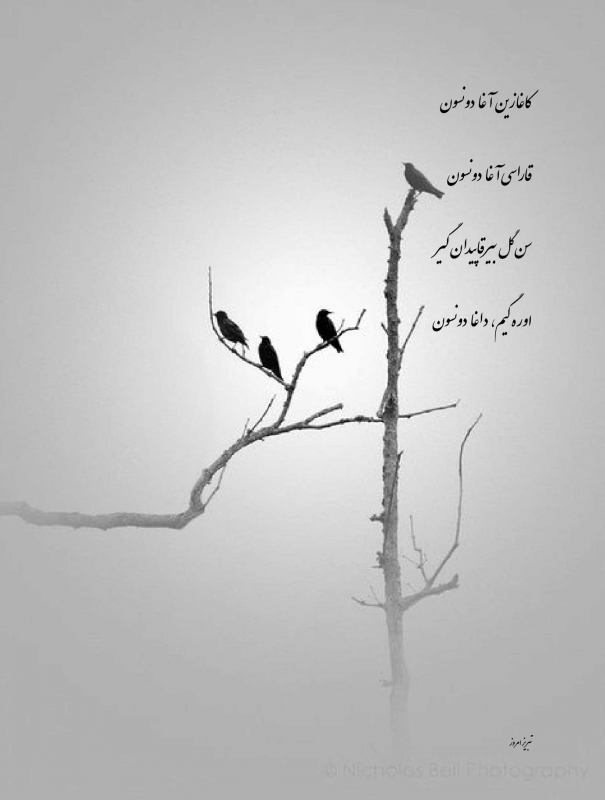 اورگیم داغا دونسون- حسن وحیدی آذر